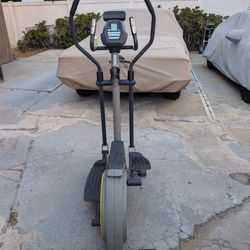Golds Gym Stride Trainer
