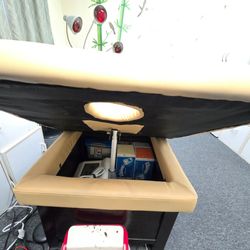 Electric facial table
