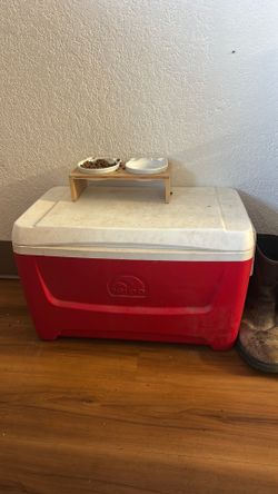 Cooler
