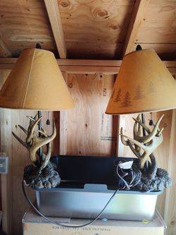 2 lamps