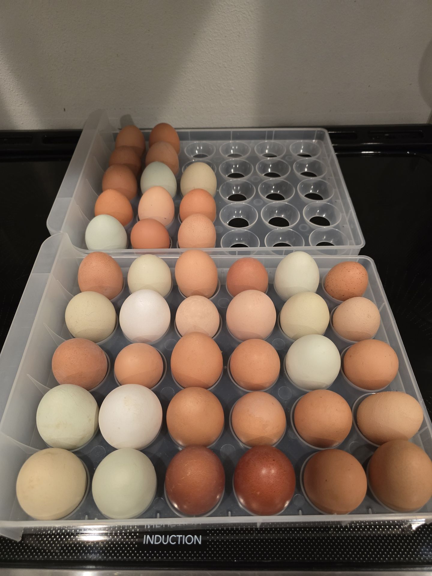 Self serve farm fresh eggs