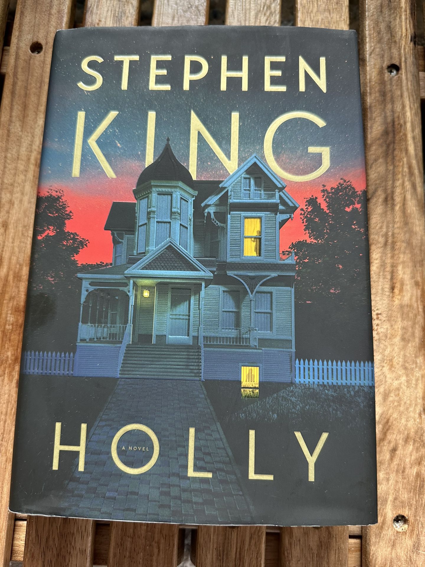 Holly by Stephen King (2023, Hardcover)