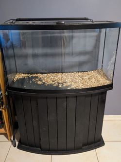 50 Gallon Curved Tank & Stand