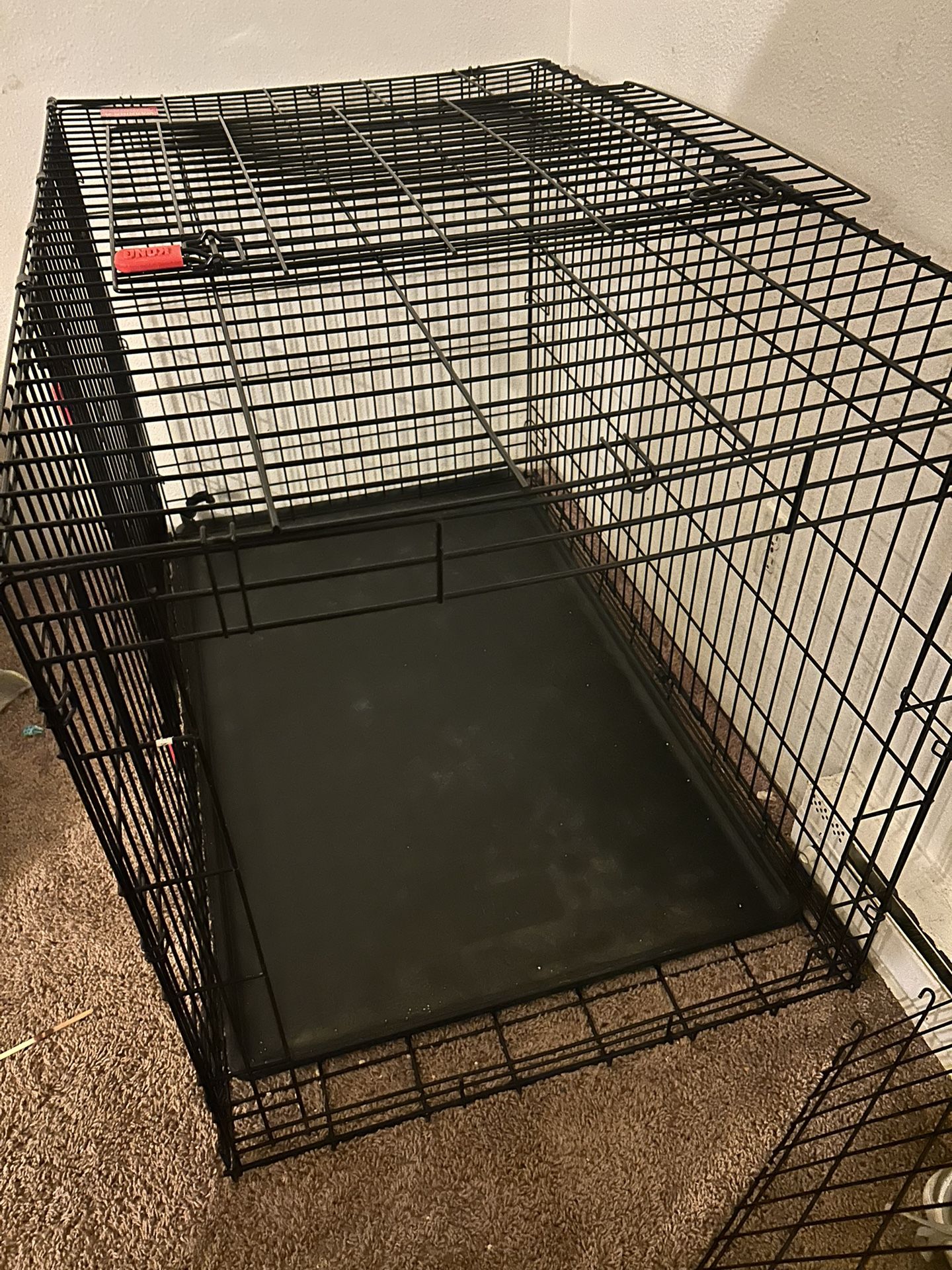 Xl Dog Kennel