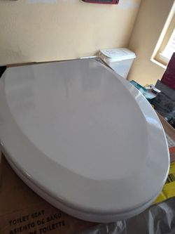 Toilet seats
