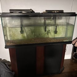 55 Gallon With Stand And Extras