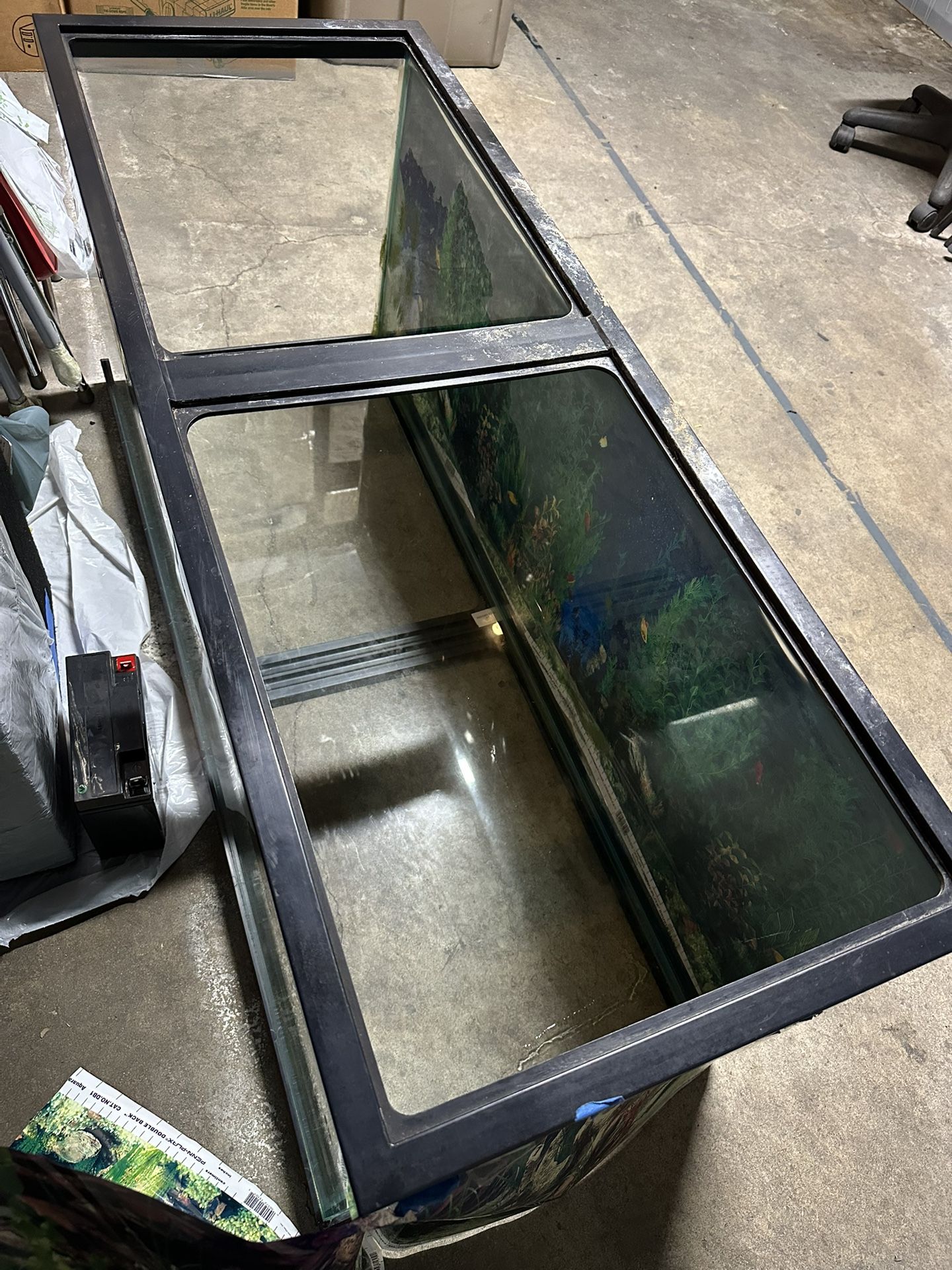 75 Gallons Fish tank