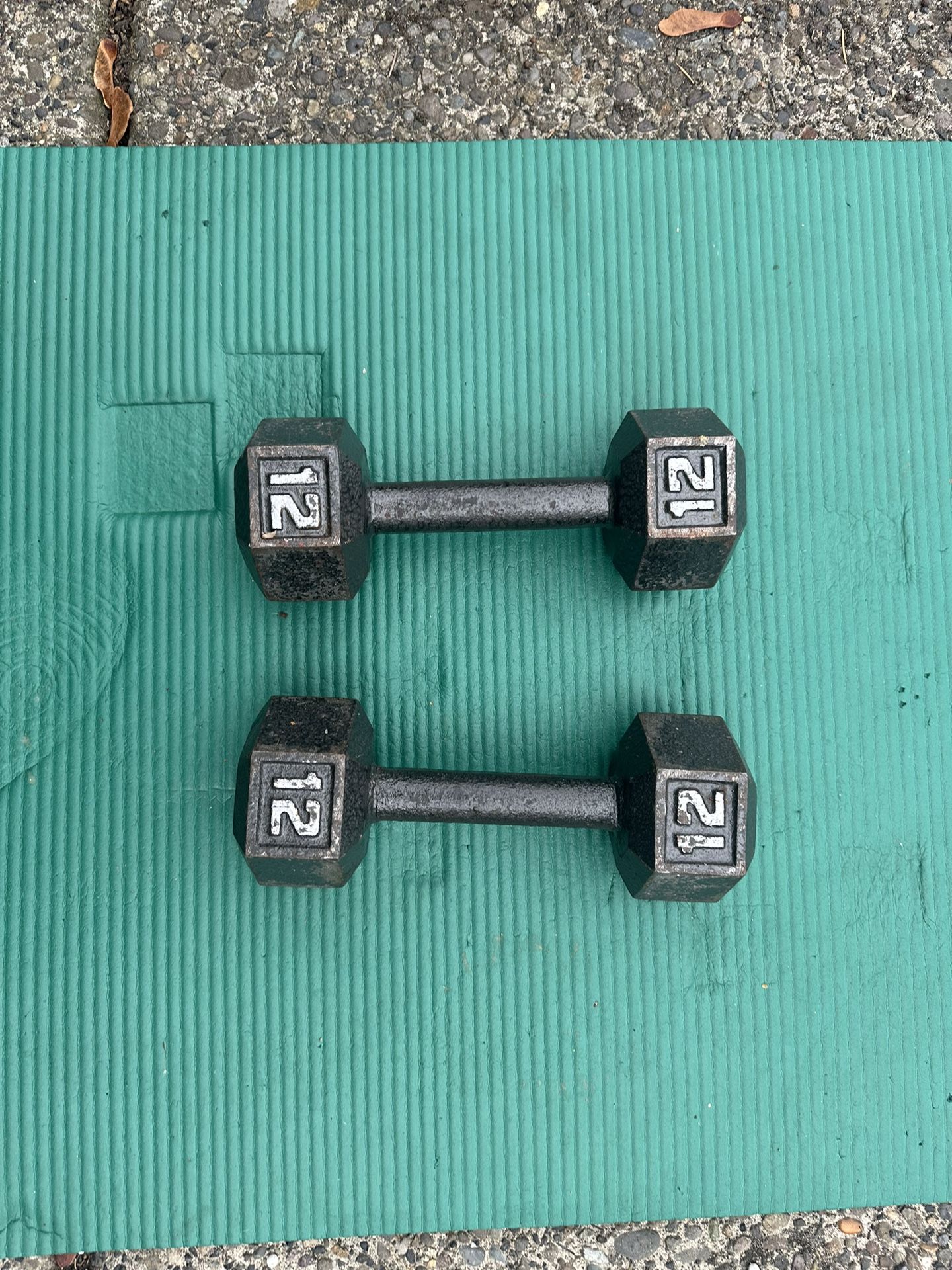 12lbs dumbbells