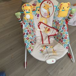 Baby Bouncer And Seat