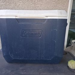 Cooler