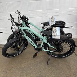 Two Luxury Electric Bikes 