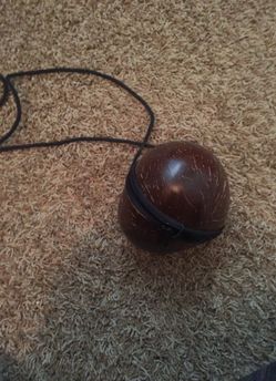 Coconut Shell Purse