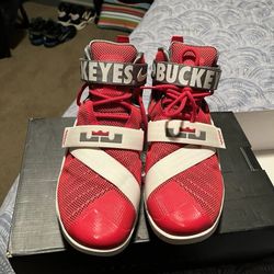 LeBron James Ohio State Shoes