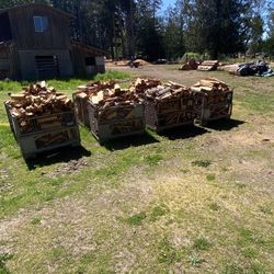 Campfire Wood