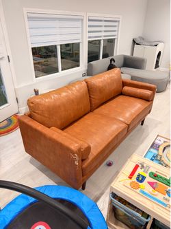 One year old couch sofa