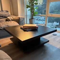Black Wooden Coffee Table With Cabinet 