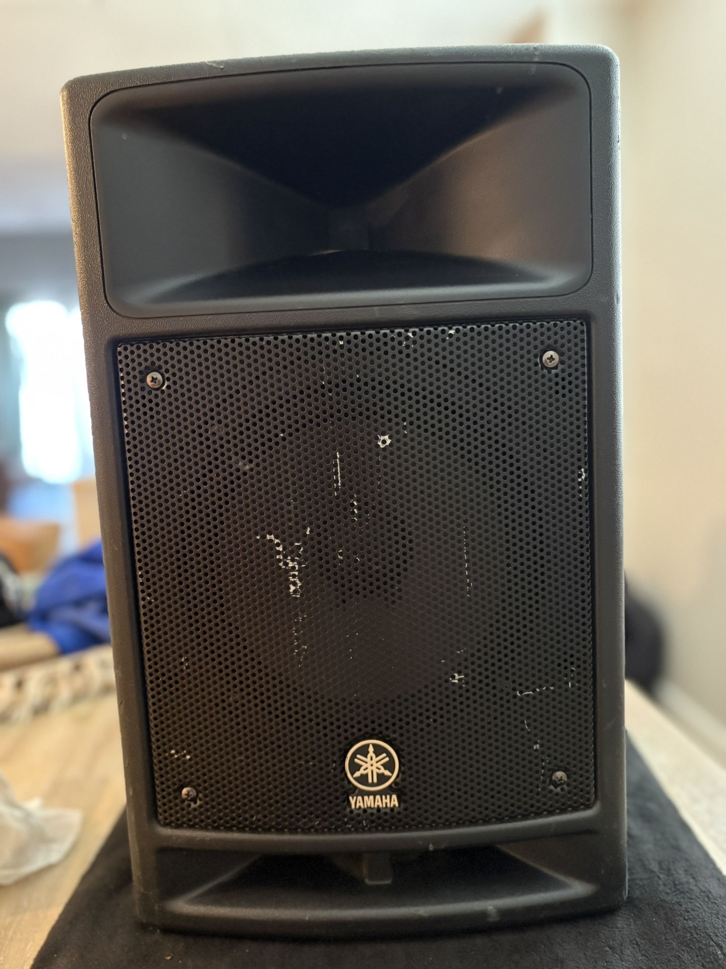 MSR 100 powered speaker 120volt 70w 60hz