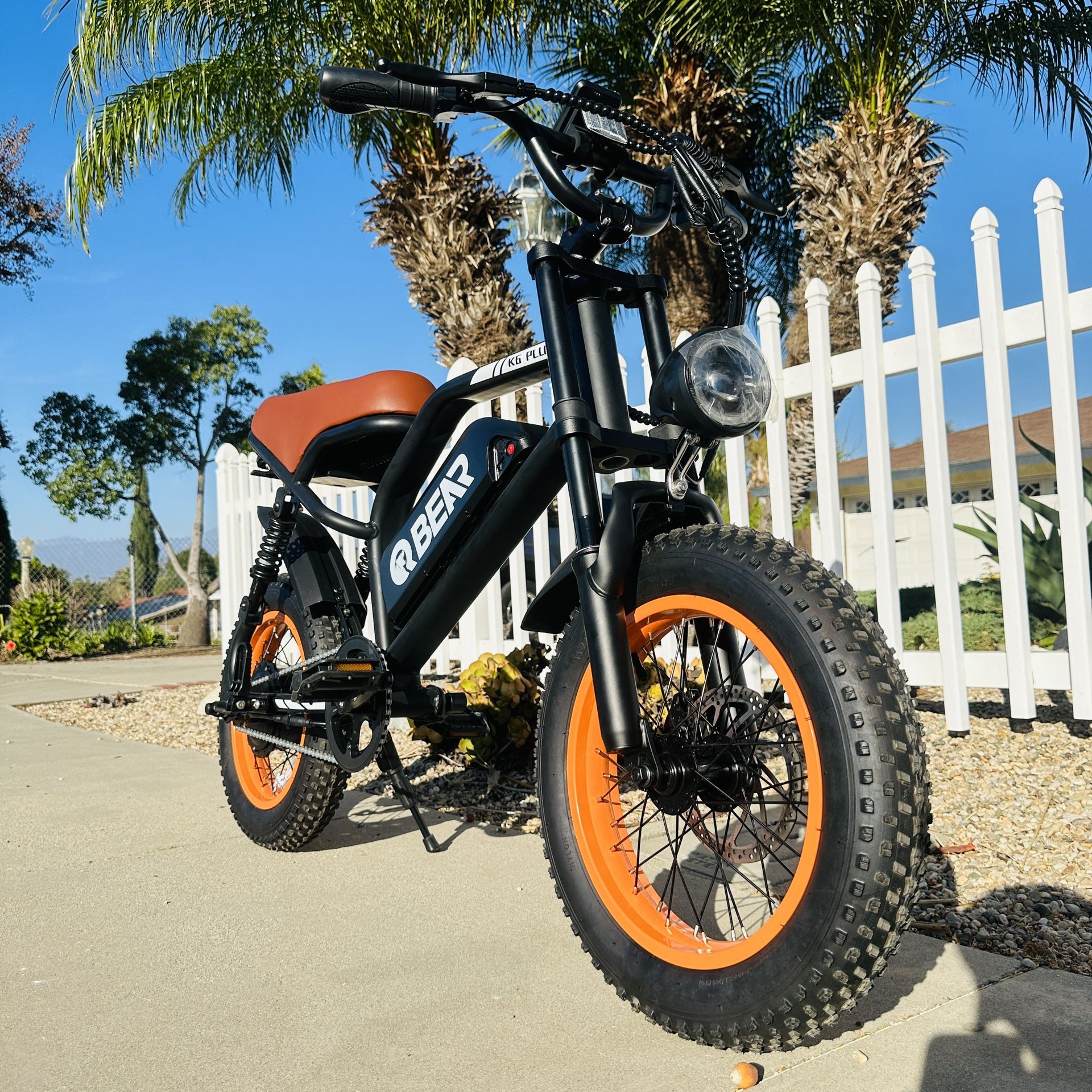 Electric Bike