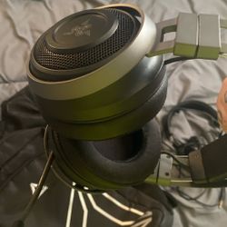 Razer Turtle Beaches