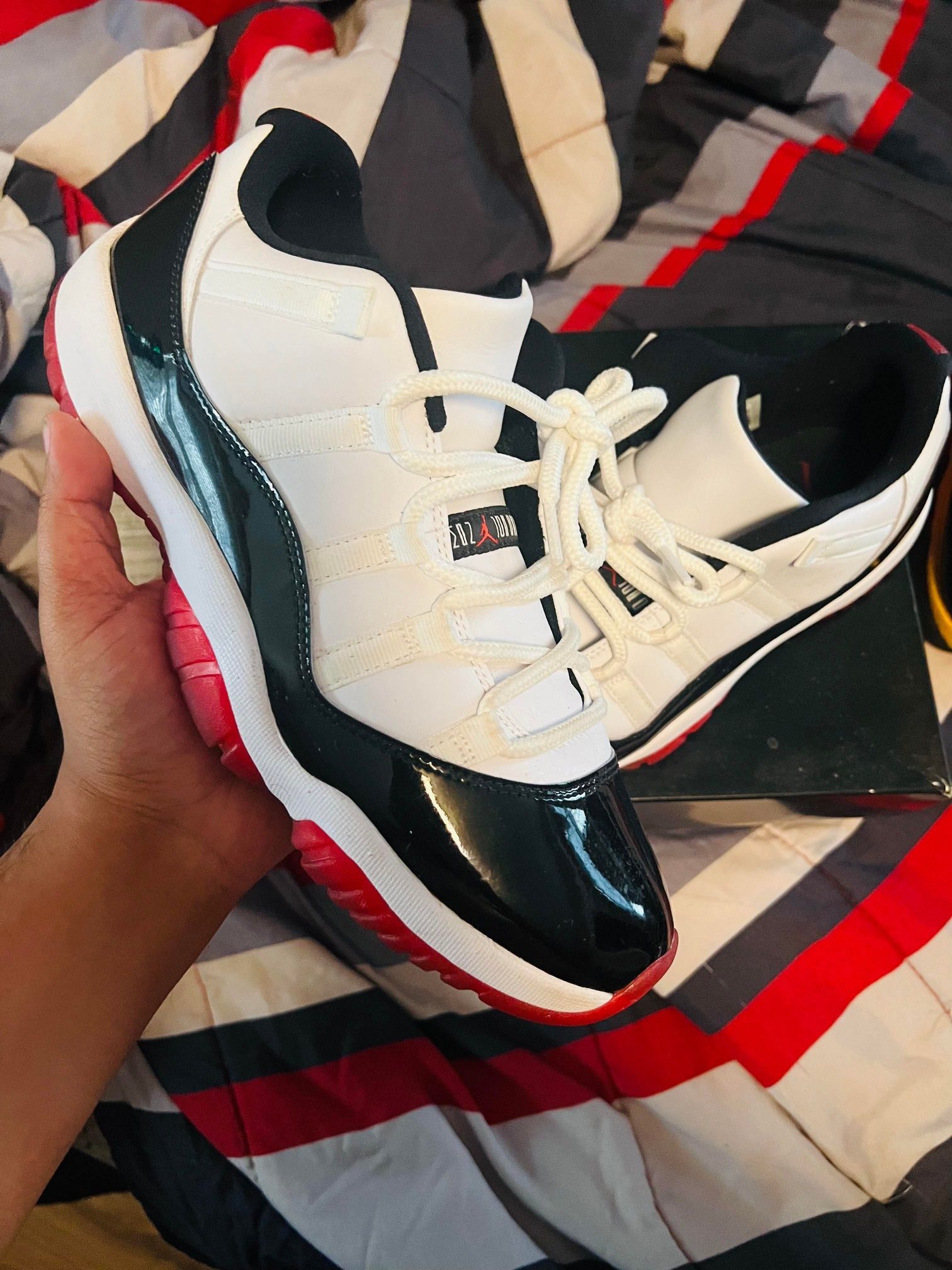 Low Concord Bred 11 Size 10.5