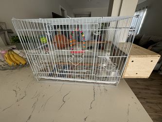 Bird Cage With Bird Home