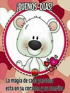 Mix Chihuahua/Poodlo