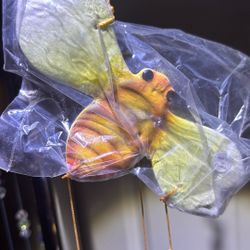 Bee Wind chimes