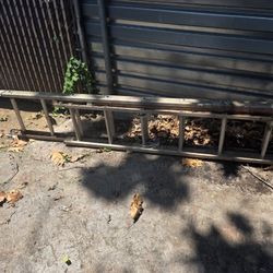 Ladder For Sale