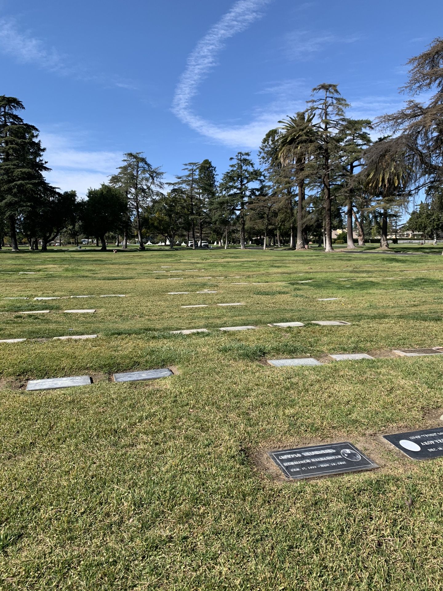 Cemetery plot for sale for Sale in Los Angeles, CA OfferUp