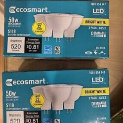 50 W LED Replacement Bulb