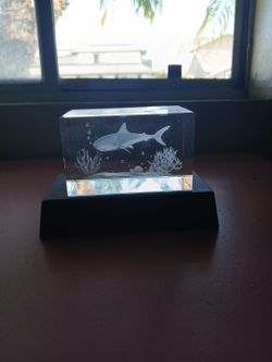 LED light shark