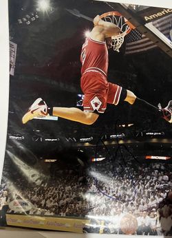 Carlos Boozer picture signed | Chicago bulls ,COA PSA DNA 