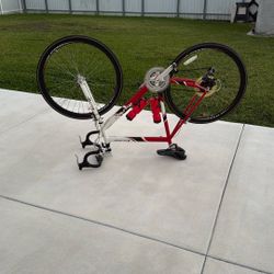 Tonino  Lamborghini Rapido bike