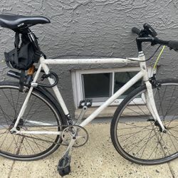 Fuji Feather Single Speed Bike Xl 6’-6’3 Lightweight City Bike  Fixy 