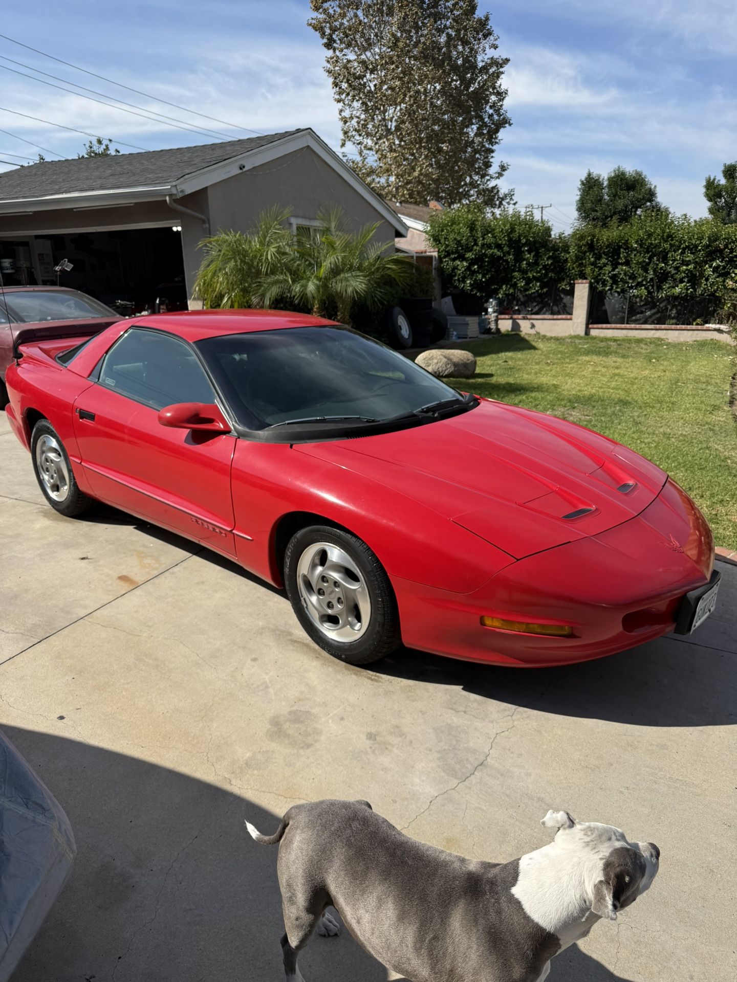 1993 Pontiac Firebird