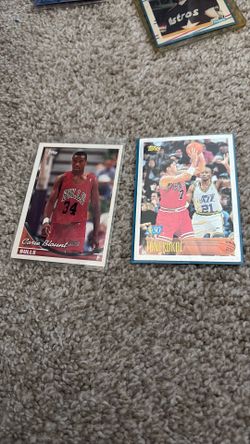 Bulls nba champions