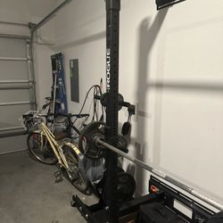 Rogue Fitness Foldable Wall Rack with Weights