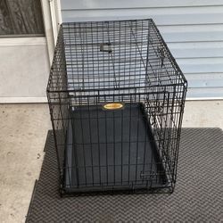 Medium Wire Dog Crate   We Have 2 First Come Gets To Pick 