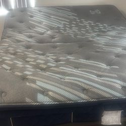 Sealy mattress & Header Both Included