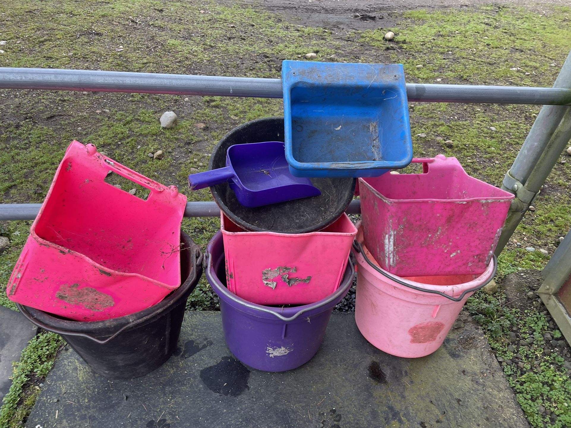 Feed Buckets