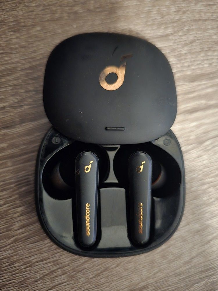 Soundcore Anc Earbuds