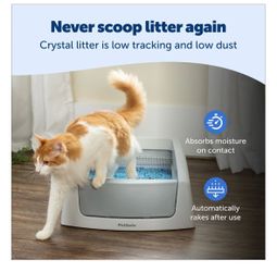 Scoop free cat box