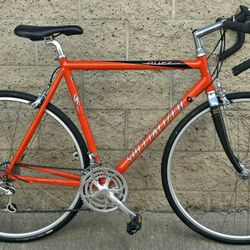 Specialized 58cm Frame Road Bike - Mint Condition
