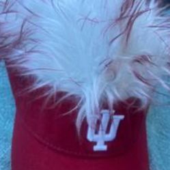 INDIANA HOOSIERS HAT