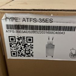 Commercial Fryer 