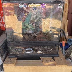 Reptile Tank Comes With Lightning 