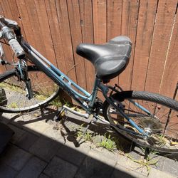 Giant Bike 17” Frame