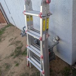 FRANKLIN 17 ft. Reach 300 lb. Multi-Task Ladder