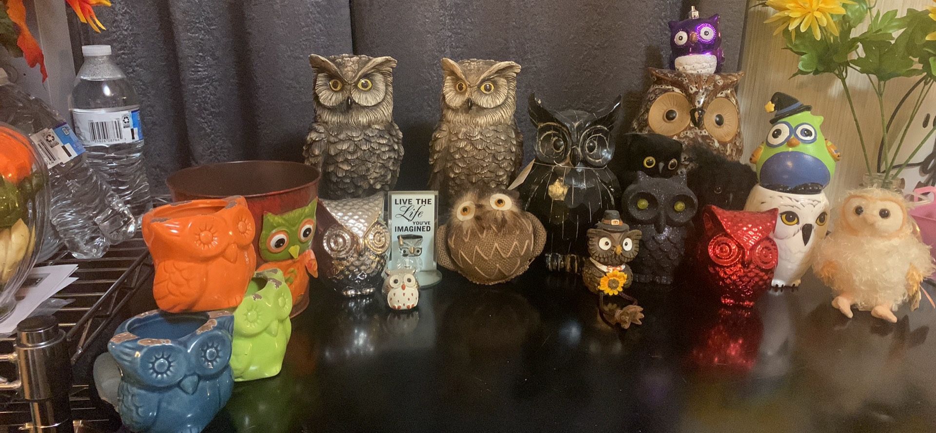 Owls