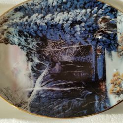 13 Collectable Native American Art Plates 